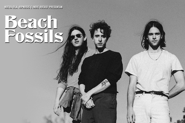 BEACH FOSSILS