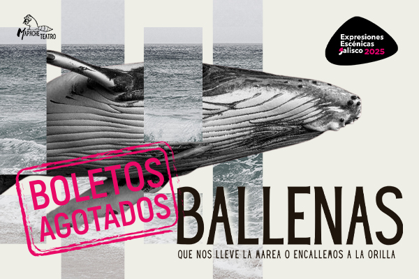 EEJ Ballenas, que nos lleve la marea o encallemos a la orilla